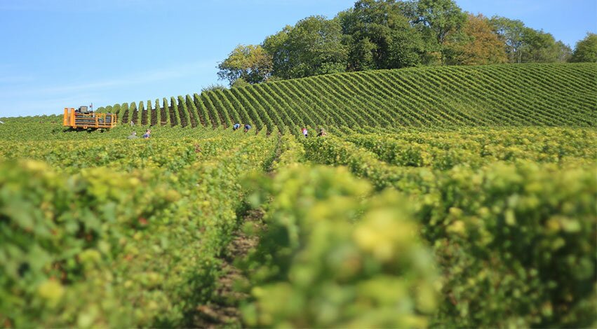 Queste sono le 3 cose migliori da fare in Italia nn2 - Queste sono le 3 cose migliori da fare in Italia